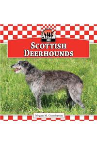 Scottish Deerhounds