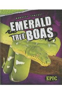 Emerald Tree Boas
