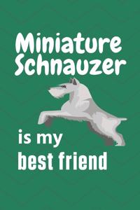 Miniature Schnauzer is my best friend