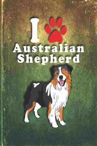 Australian Shepherd