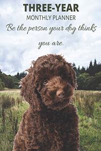 Three Year Monthly Planner Starting 2020 Agenda with Weekly Plan Space - Best Gift For Dog Owner - Funny Labradoodle Appointment Book for 2021 & 2022