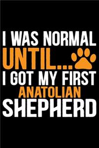 I Was Normal Until I Got My First Anatolian Shepherd