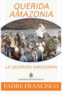 Querida Amazonia