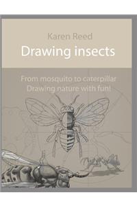 Drawing insects