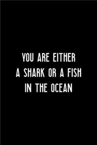 You Are Either A Shark Or A Fish In The Ocean