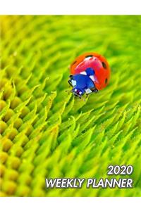 2020 Weekly Planner