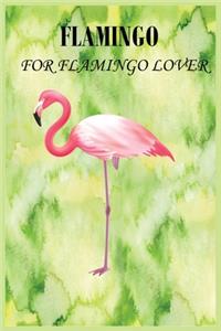Flamingo for Flamingo Lover