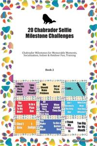 20 Chabrador Selfie Milestone Challenges