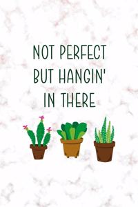 Not Perfect But Hangin' In There