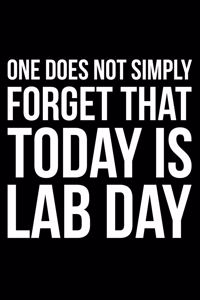 One Does Not Simply Forget That Today Is Lab Day