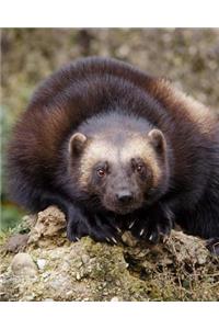 Look at the Wolverine Dot Grid Bullet Journal: 150 Page Notebook 8 X 10 Inches