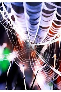 Halloween Activity Book