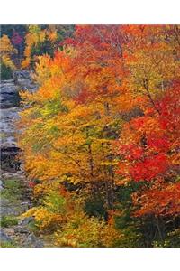 Fall School Composition Book Mountain Waterfall Autumn Foliage 130 Pages