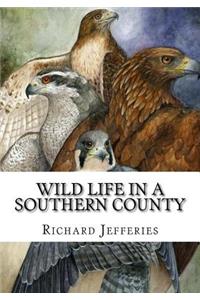 Wild Life in a Southern County