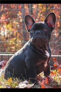 French Bulldog Planner 2019