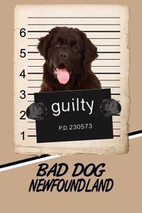 Bad Dog Newfoundland