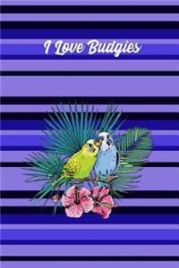 I Love Budgies