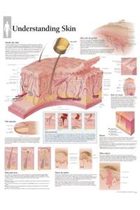 Understanding Skin Chart
