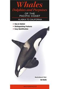 Whales, Dolphins and Porpoises of the Pacific Coast