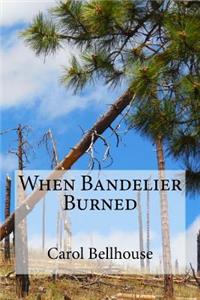 When Bandelier Burned