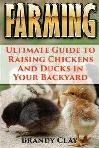 Farming: Ultimate Guide to Raising Chickens and Ducks in Your Backyard