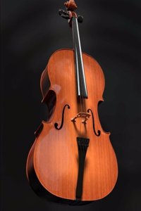 Daily Organizer and Planner