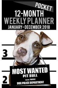 2018 Pocket Weekly Planner - Most Wanted Pit Bull