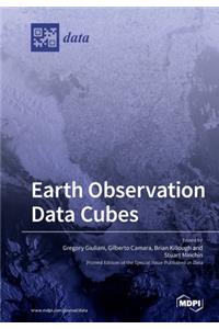 Earth Observation Data Cubes