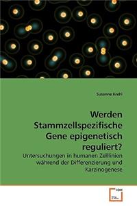 Werden Stammzellspezifische Gene epigenetisch reguliert?