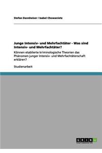 Junge Intensiv- und Mehrfachtäter - Was sind Intensiv- und Mehrfachtäter?