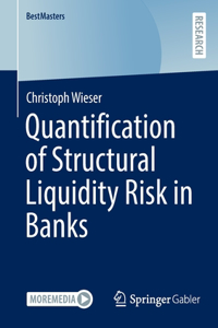 Quantification of Structural Liquidity Risk in Banks