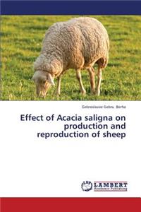 Effect of Acacia Saligna on Production and Reproduction of Sheep