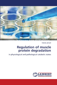 Regulation of muscle protein degradation
