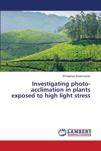 Investigating photo-acclimation in plants exposed to high light stress