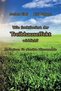 Wie funktioniert der Treibhauseffekt wirklich?: Basiswissen für plausible Klimamodelle