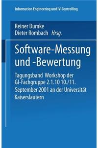 Software-Messung Und -Bewertung