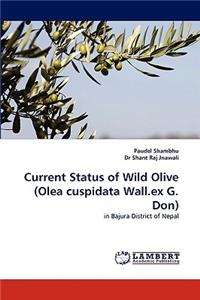 Current Status of Wild Olive (Olea Cuspidata Wall.Ex G. Don)