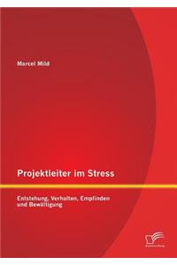 Projektleiter im Stress