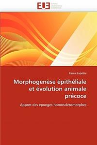 Morphogenèse Épithéliale Et Évolution Animale Précoce