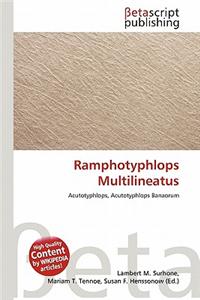 Ramphotyphlops Multilineatus