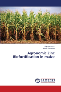 Agronomic Zinc Biofortification in maize