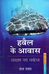Whale Kai Aavas