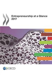 Entrepreneurship at a Glance 2017
