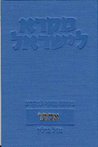 Mikra Leyisrael - A Biblical Commentary for Israel, Ester