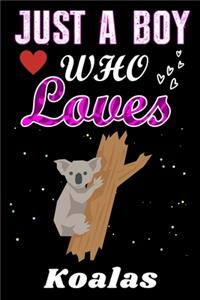 Just a Boy who loves Koalas