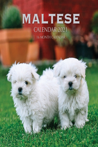 Maltese Calendar 2021