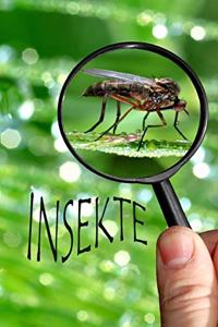 Insekte