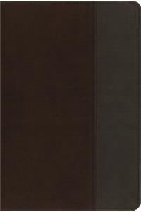 NIV, Quest Study Bible, Leathersoft, Brown/Gray, Indexed