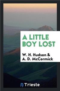 Little Boy Lost