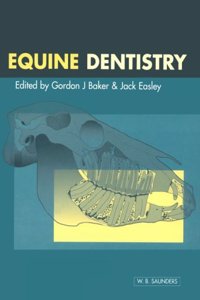 Equine Dentistry